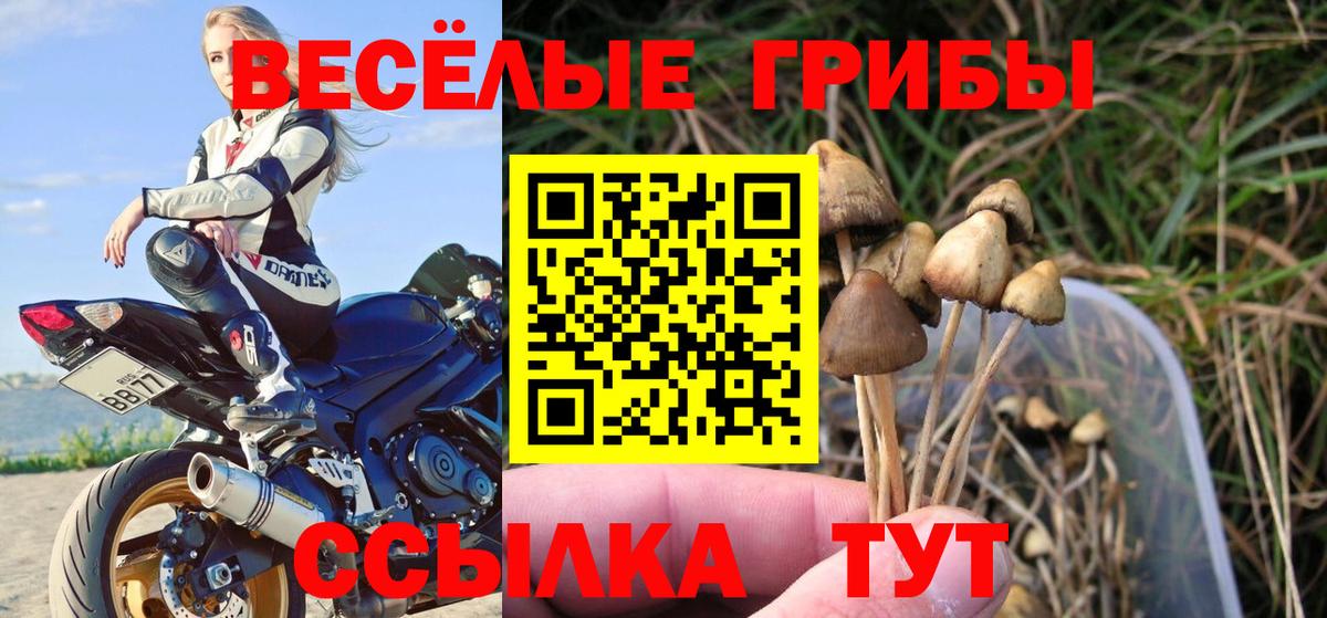 Галлюциногенные грибы мухоморы Тайшет
