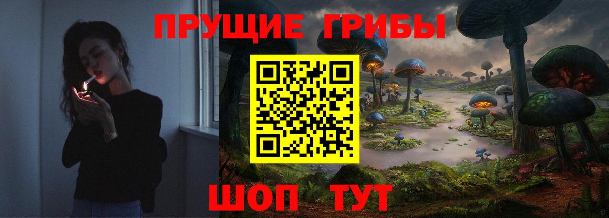 Псилоцибиновые грибы Magic Shrooms  Вход с VPN  Галлюциногенные грибы ЛСД  наркошоп  Тайшет 